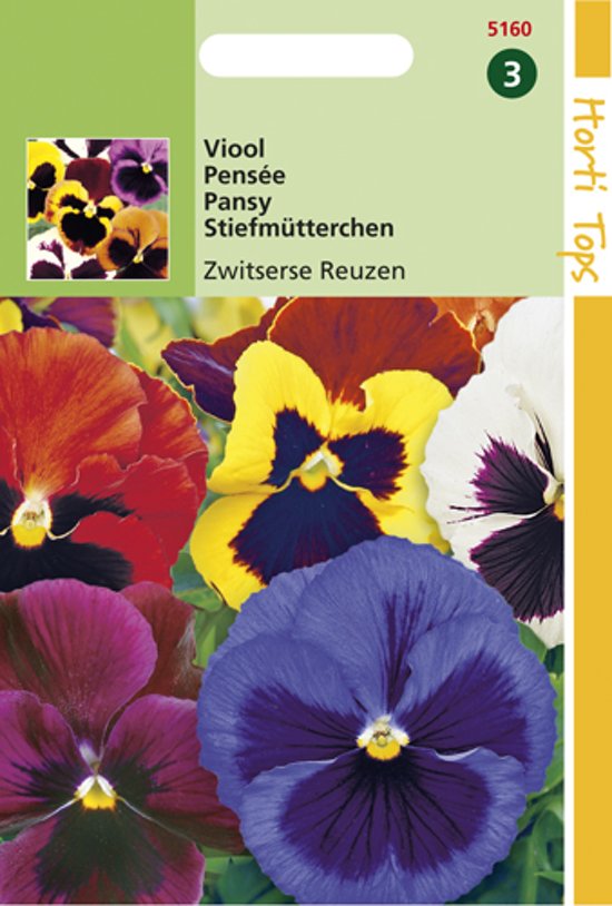 Veilchen Schweizer Riesen (Viola wittrockiana) 320 Samen HT